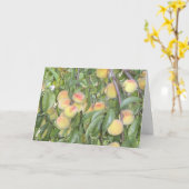 Perziken op het Tree Wenskaart Kaart (Gele Bloem)