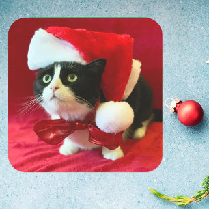 Perziken op Kerst stickers van Tuxedo Cat