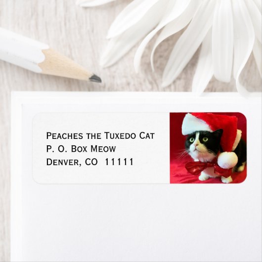 Perziken op kerstAdresetiketten met kerstmis van T Etiket (Insitu)