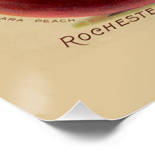 perziken perfect poster (Hoek)