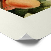 perziken poster (Hoek)