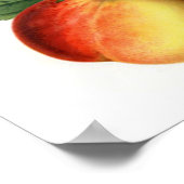  perziken poster (Hoek)