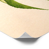 Perziken (Prunus Persica) van Royal Charles Steadm Poster (Hoek)