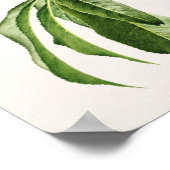 Perziken (Prunus Persica) Waterverf van fruit Poster (Hoek)