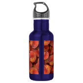 perziken waterfles waterfles  (Achterkant)