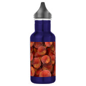 perziken waterfles waterfles  (Links)