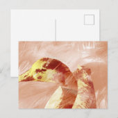 perzikgans-ansichtkaart briefkaart (Voorkant / Achterkant)