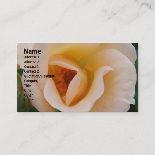 Perzikkleurig Roos Visitekaartje (Voorkant)