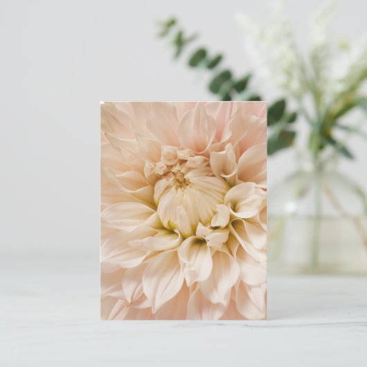 Perzikkleurig, roze, wit en roam Dahlia - Dahlias Briefkaart (Staand voorkant)