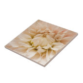 Perzikkleurig, roze, wit en roam Dahlia - Dahlias Tegeltje (Zijkant)