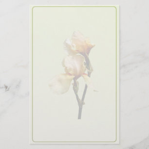 Perzikkleurige Irises Briefpapier