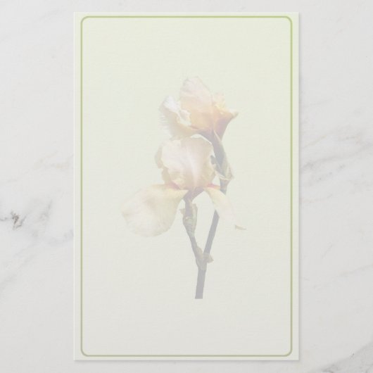 Perzikkleurige Irises Briefpapier (Voorkant)