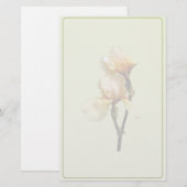Perzikkleurige Irises Briefpapier (Voorkant / Achterkant)