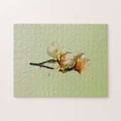 Perzikkleurige Irises Legpuzzel (Horizontaal)
