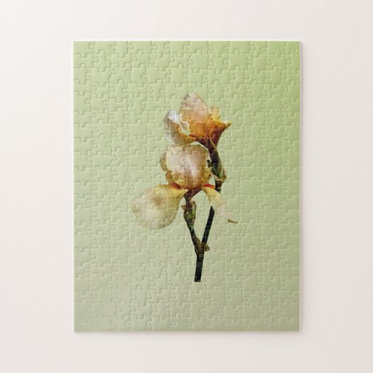Perzikkleurige Irises Legpuzzel (Verticaal)