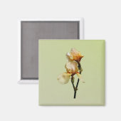 Perzikkleurige Irises Magneet (Voorkant / Achterkant)