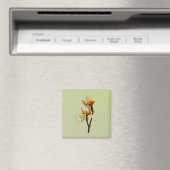 Perzikkleurige Irises Magneet (Insitu (Vaatwasser))