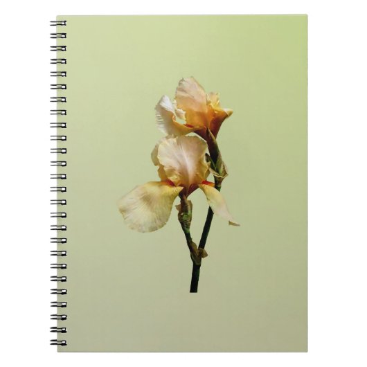 Perzikkleurige Irises Notitieboek (Voorkant)