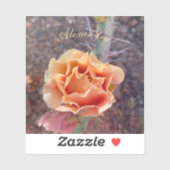 perzikkleurige perenbloem sticker (Vel)