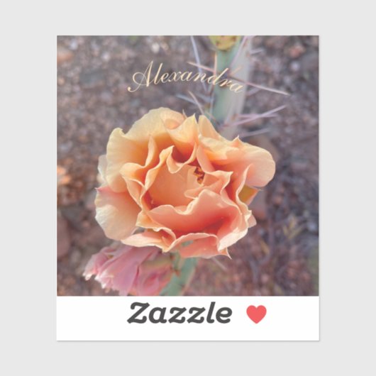  perzikkleurige perenbloem sticker (Vel)