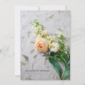 Perzikkleurige roodroos kaart (Achterkant)