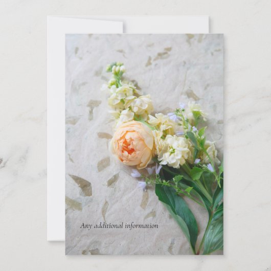 Perzikkleurige roodroos kaart (Achterkant)