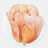 Perzikkleurige tulp ronde sticker (Voorkant)
