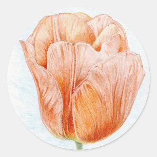 Perzikkleurige tulp ronde sticker