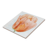 Perzikkleurige tulp tegeltje (Zijkant)