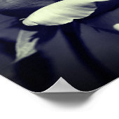 Perzikkleurige zwarte en witte partiële kleur poster (Hoek)