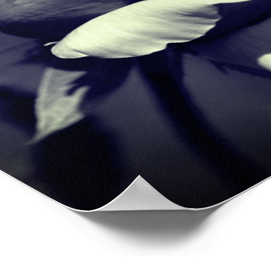 Perzikkleurige zwarte en witte partiële kleur poster (Hoek)