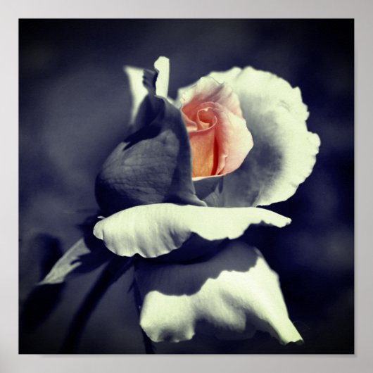 Perzikkleurige zwarte en witte partiële kleur poster (Voorkant)