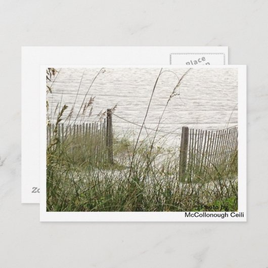 Perzikkorst en hek briefkaart (Voorkant / Achterkant)