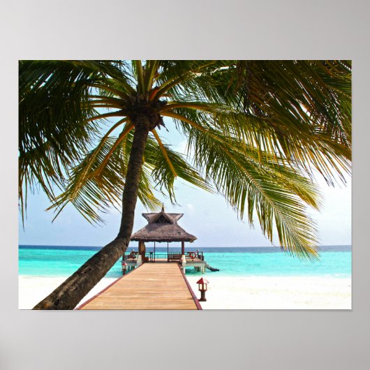 Perziklopen, Cabana, Palmboom, Maldiven Poster (Voorkant)