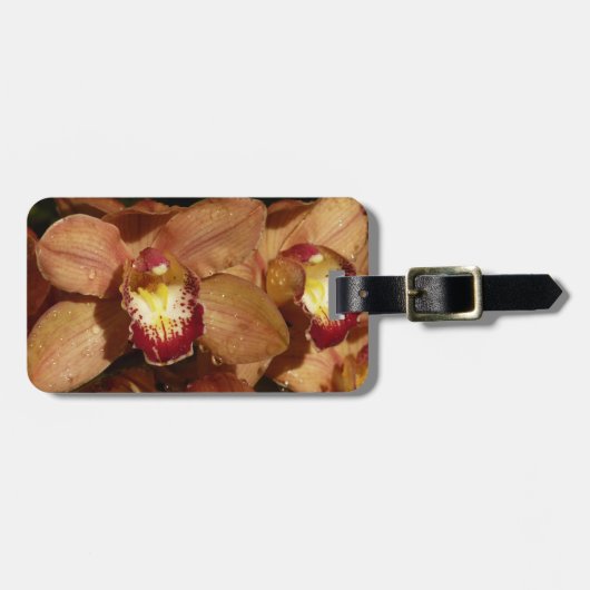 Perzikorchideeën met regendruppels bagagelabel (Voorkant horizontaal)