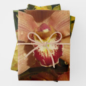 Perzikorchideeën met regendruppels bloem inpakpapier vel (In situ)