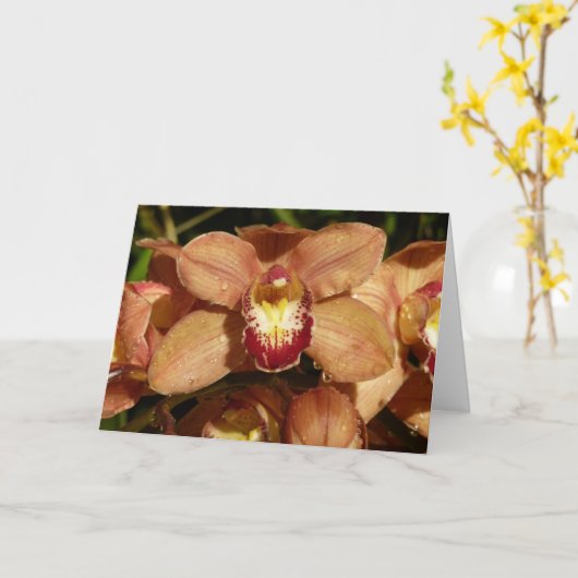 Perzikorchideeën met regendruppels kaart (Gele Bloem)