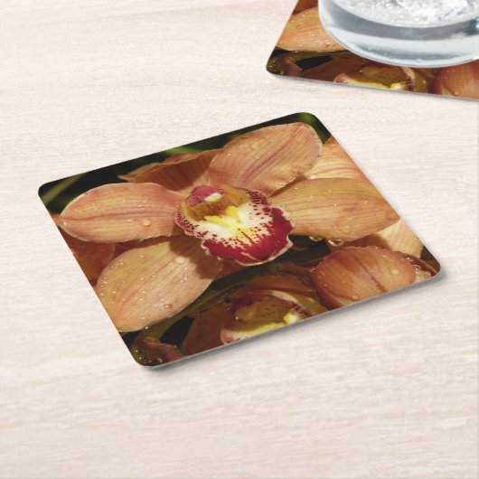 Perzikorchideeën met regendruppels kartonnen onderzetters (Schuin)