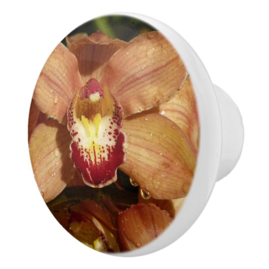 Perzikorchideeën met regendruppels keramische knop (Rechts)