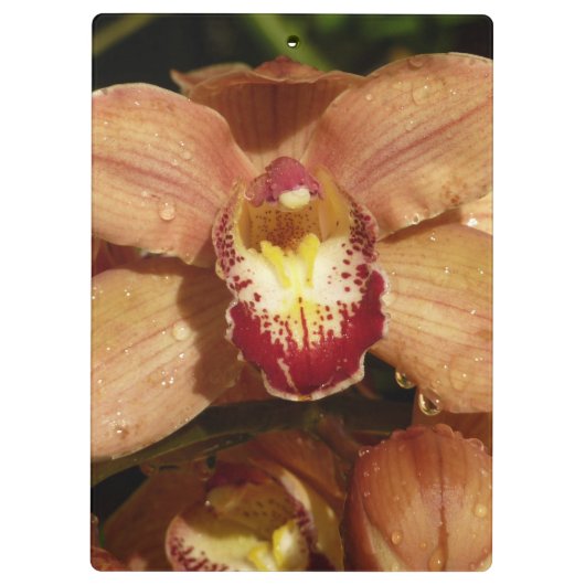 Perzikorchideeën met regendruppels klembord (Achterkant)