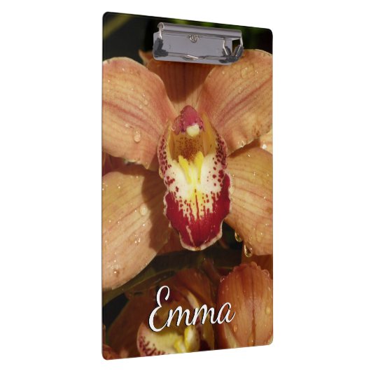 Perzikorchideeën met regendruppels klembord (Rechts)