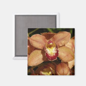 Perzikorchideeën met regendruppels magneet (Voorkant / Achterkant)