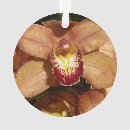 Perzikorchideeën met regendruppels ornament (achterkant)