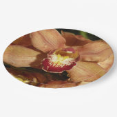 Perzikorchideeën met regendruppels papieren bordje (Gekanteld)