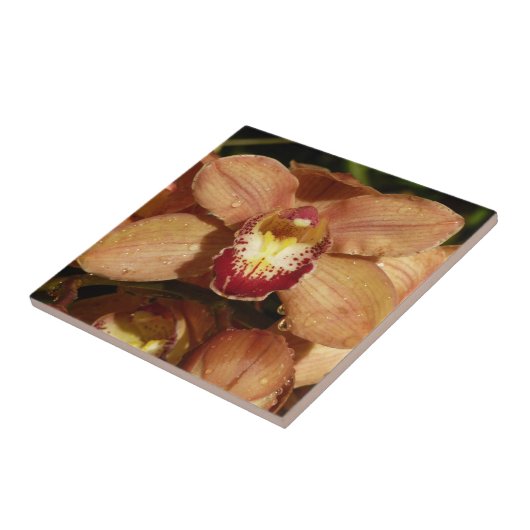 Perzikorchideeën met regendruppels tegeltje (Zijkant)