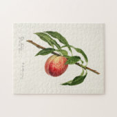Perzikpasta (Prunus Persica) Waterverf Legpuzzel (Horizontaal)