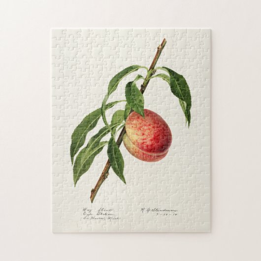 Perzikpasta (Prunus Persica) Waterverf Legpuzzel (Verticaal)