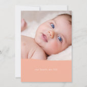 perzikperfectie aankondiging (Achterkant)