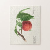 Perzikpruik (Prunus Persica) Legpuzzel (Verticaal)
