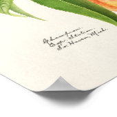 Perzikpruik (Prunus Persica) Poster (Hoek)